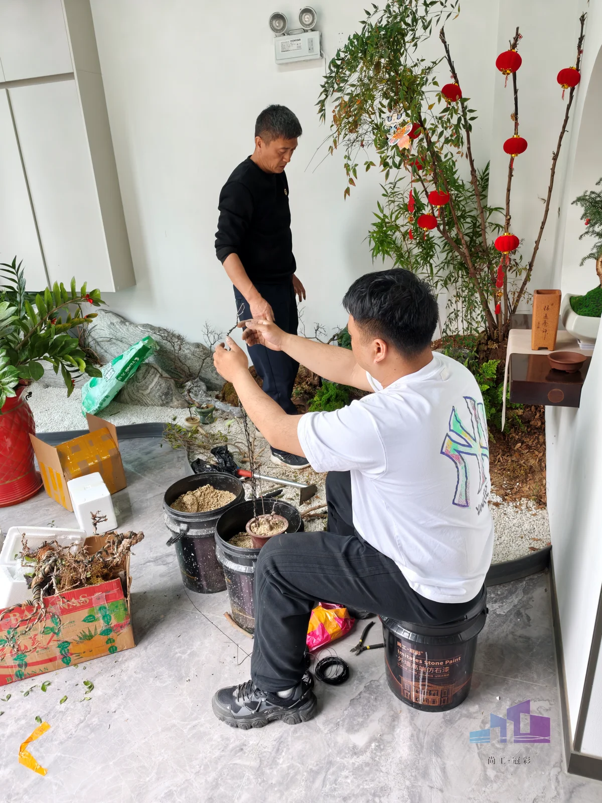 尚工乡墅前台公司门口大盆绿植景观布置